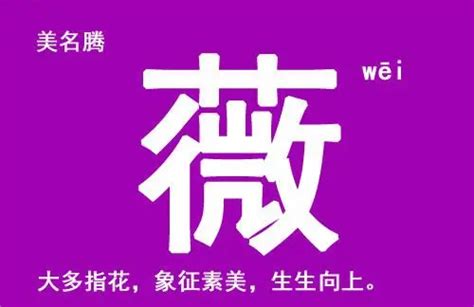 薇名字|带薇字的名字 清新典雅的好名字分享 快快收藏